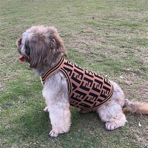 fendi dog shirt